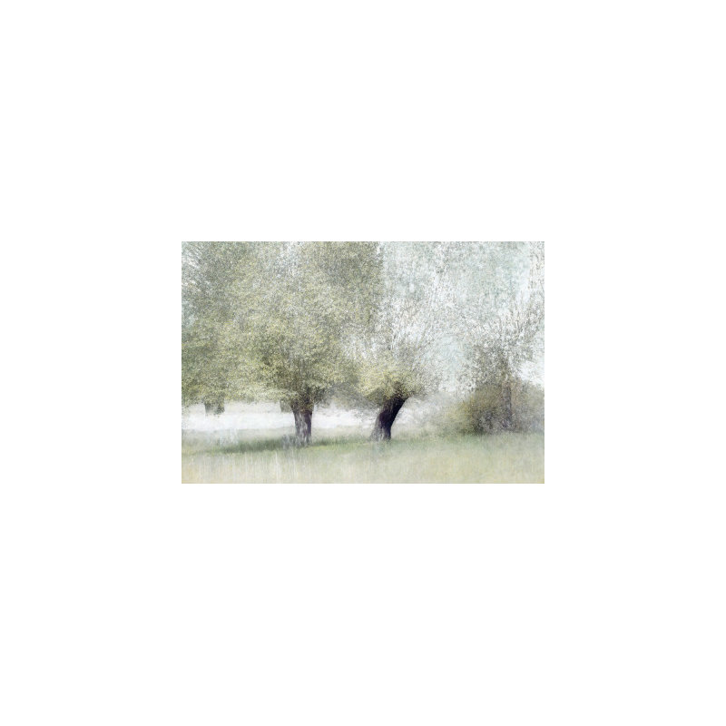 Wrapped Canvas Print, 50.8 cm H x 76.2 cm W
