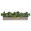 Succulent, Green, Planter Concrete Finish, 39wx14dx9h