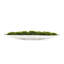 5" Artificial Moss Grass in Boat Tray