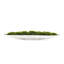 Faux Moss Grass