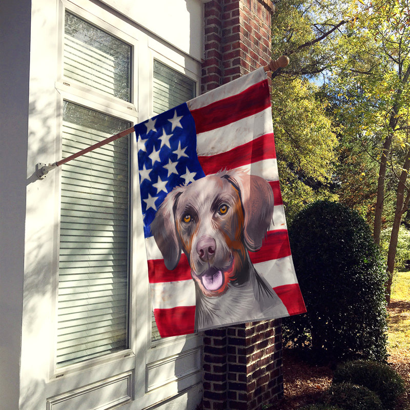 Double Sided 40'' H x 28'' W Polyester Independence Day House Flag, Pointer