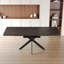 Mobilier de salle à manger extensible. Table, support en métal noir. Chaises rembourrées douces. Pour - Pied de table. Chaise ronde. Style moderne