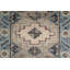 Oriental Area Rug in Gray