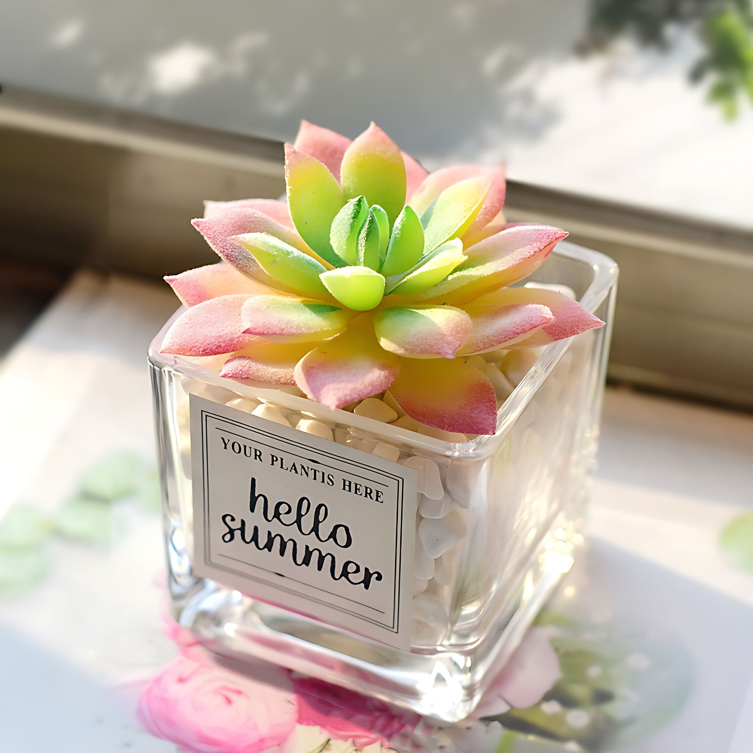 Primrue Nordic Simulation Green Plant Cactus Succulent Artificial Flower Decoration Ornament Living Room Decoration Office Desktop Small Potted Plant - Wayfair Canada