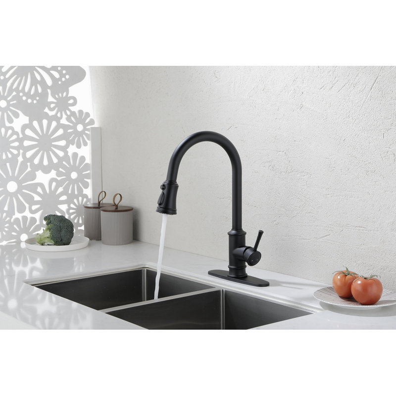 Robinet de cuisine avec douchette extractible