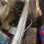 Photos des clients 1 de 1