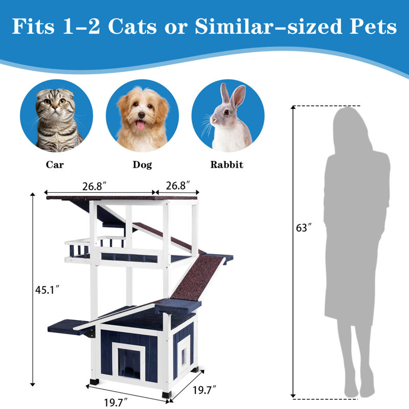Outdoor Cat House