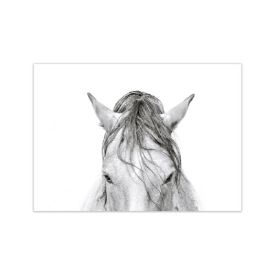 Horse II 1 Piece Wall Art