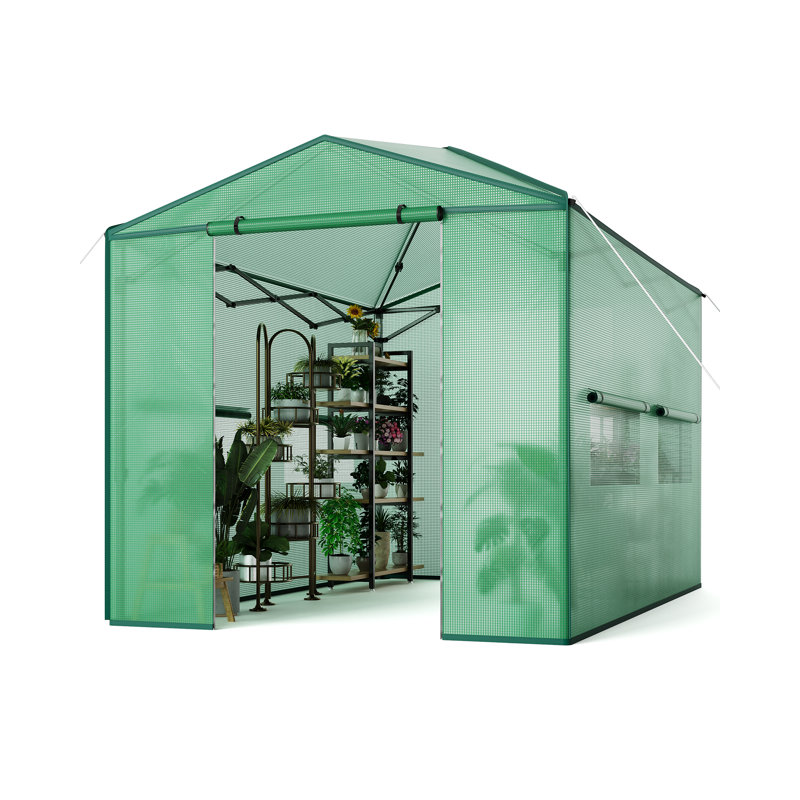 Walk-in Pop Up Greenhouse Tent with Galvanised Steel Frame & UV-Resistant PE Cover | Portable Outdoor Plant Shelter for Garden, Patio & Balcony – Green