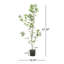ARBRE À PIERIS 120CMTIFTIFS-1859716857