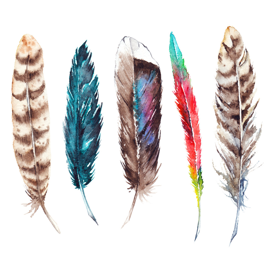 Bird Feather - Wrapped Canvas Painting