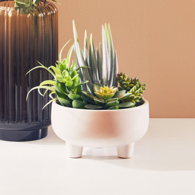 24cm Faux Succulent in Ceramic Pot