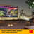 Kodak Pico Projector 40 Lumens Portable Projector with Remote Included