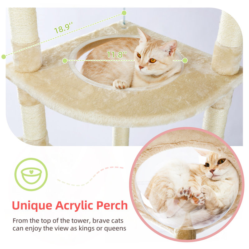 Grande tour pour chat hamac réglable à 5 niveaux du plancher au plafond, Beige