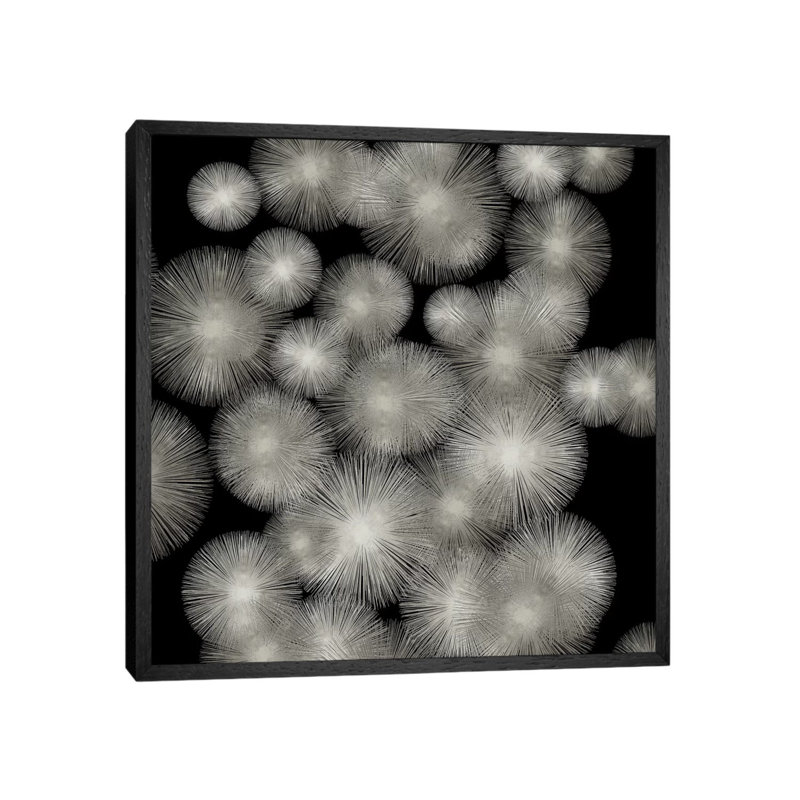 Silver Sunbursts by Abby Young - Floater Frame Print on Canvas, 93.98 cm H x 93.98 cm W, Black Framed