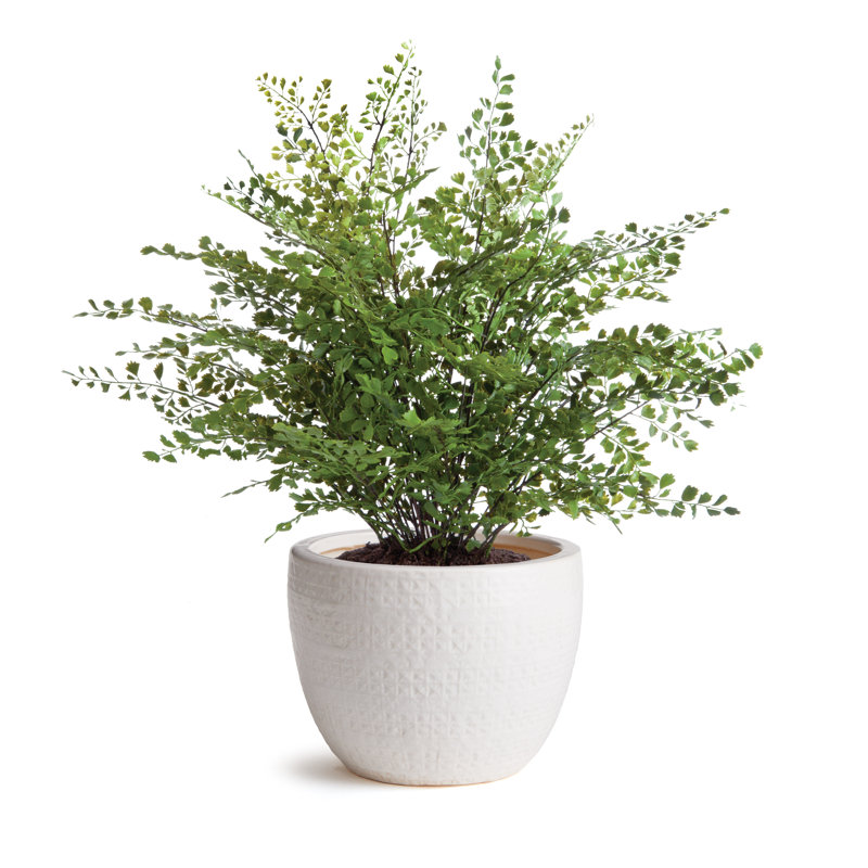 White Ceramic Pot Planter, White