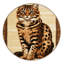  Tapis lavable Arabian Mau Cats-2088290010