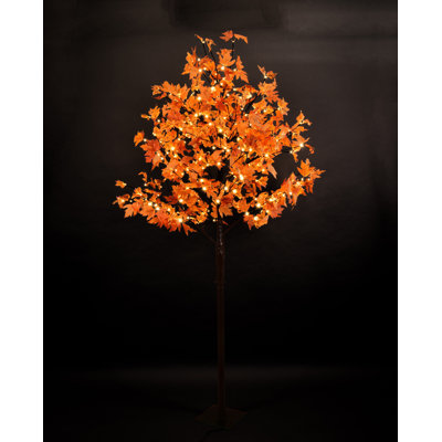 Lighted Tree