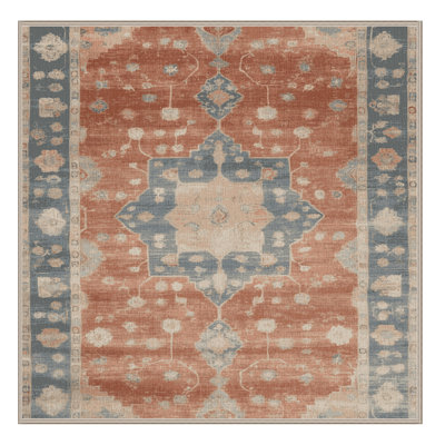 Machine Washable Overdyed Brown Area Rug