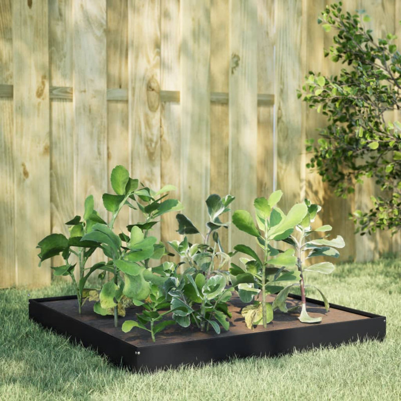 Caylub Metal Raised Garden Bed, Black, 18.5cm H x 100cm W x 100cm D