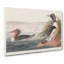 Goosander Ducks - Wrapped Canvas Painting-55366232