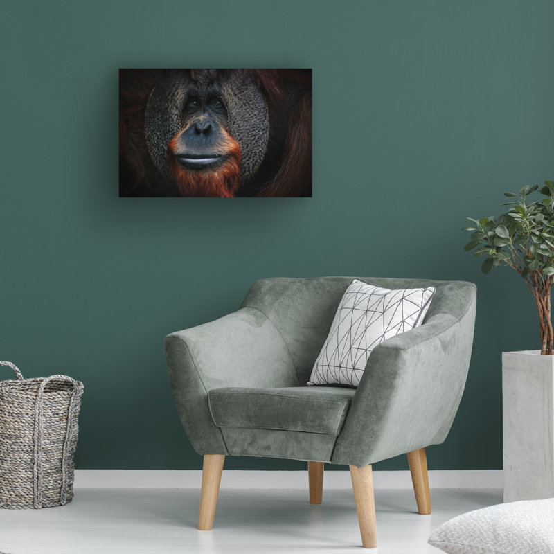 Art sur toile Antje Wenner Braun, H 16 po x l 24 po