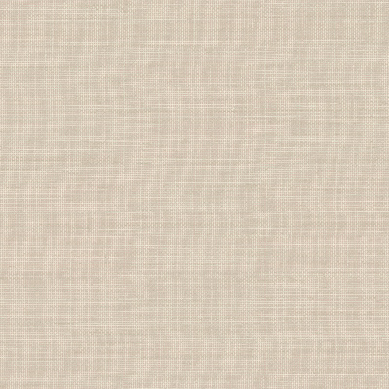 Rouleau de papier peint L 33 pi x l 20,5 po Doss, Neutre