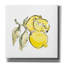 «Killebrew Lemon Still Life II on Canvas» par Chris Paschke, reproduction-53062555