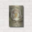 Art mural en métal Latitude Run® «White Blossom Crop» par Cheri Blum-1403908469