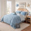 Striped and Paisley Comforter Set