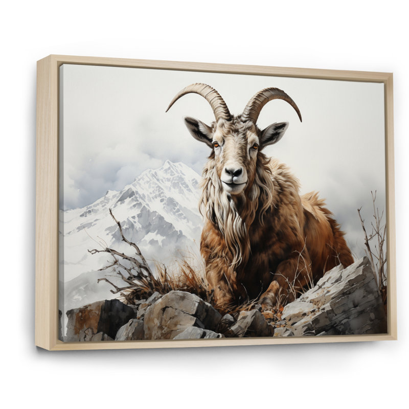 Goat Mountain Majesty sur impression sur toile, H 30 po x l 40 po x P 1,5 po, Cadre naturel flottant