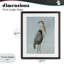 Coastal Pelican-2096644154-2096644152