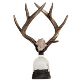 Antler Handmade Glass Decorative Bottles