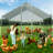  Ajaysia Chicken Coop-346804305
