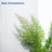  Aoodor 6 Pcs Polycarbonate Panel Cover, 62 x 28 x 0.2 Inch, Transparent-120282732