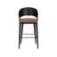 Upholstered Bar Stool-359296377-359296378