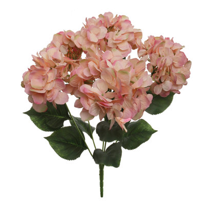 Hydrangea Arrangement