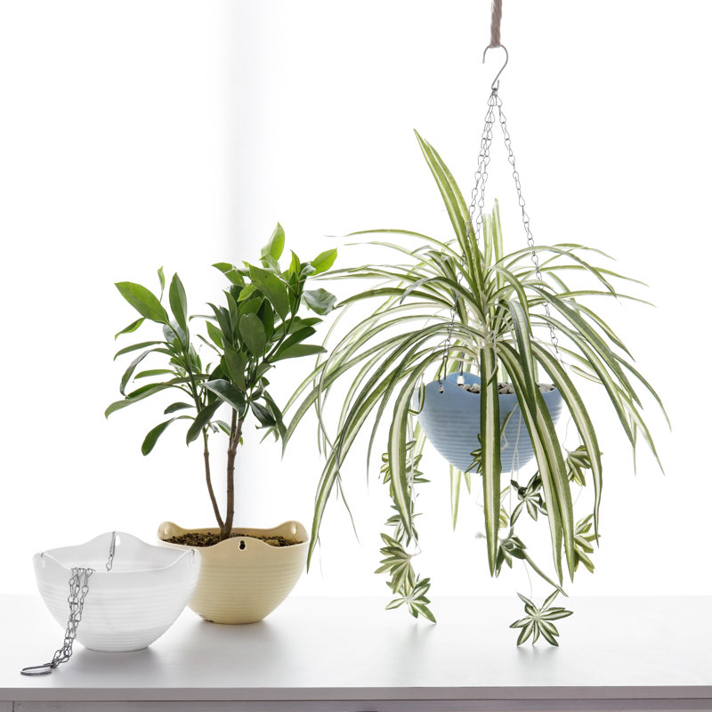 Olmstead Self-Watering Hanging Planter