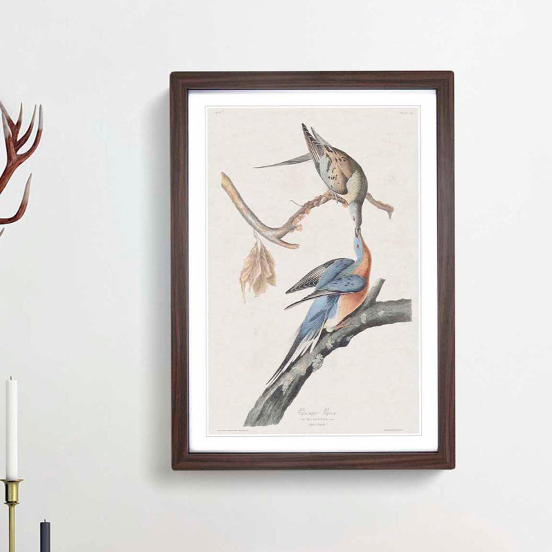 Passenger Pigeons by John Audubon - Picture Frame Painting Print, Walnut Framed, 36cm H x 27cm W x 2cm D