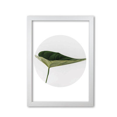 Doc Leaf - Print