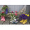 Art sur toile tendue par Flaherty, Dennis Gallery: Alaska, bottes en caoutchouc Homer utilisées comme pots de fleurs