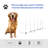 129" Adjustable Dog Agility Training Obstacle Set