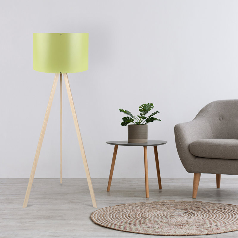 Rybicki 55" Tripod Floor Lamp, Cream, Green