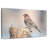 Crowle House Finch Bird-111884858