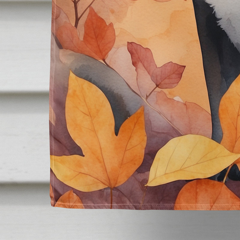 Chat en feuilles d'automne, Asiatique