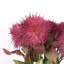 Artificial Arrangement-106401535