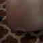 Photos des clients 1 de 1