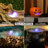 Carney Plug-in LED Light