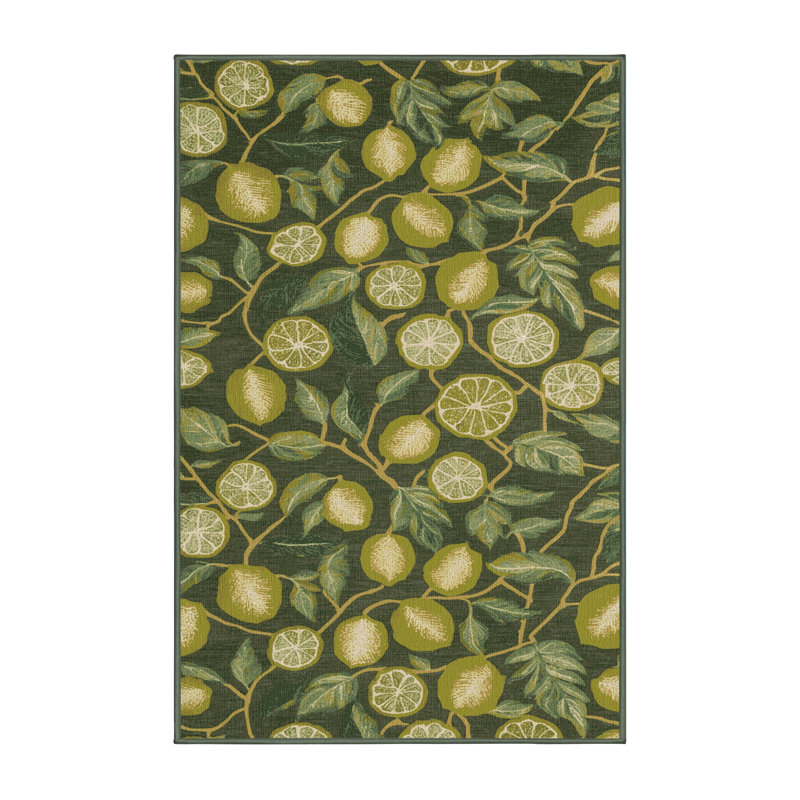  Tapis lavable à fruits Rangpur, Tapis de couloir 2 pi x 4 pi