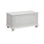 Farley Blanket Chest-16773084